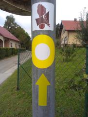 IMAG5438